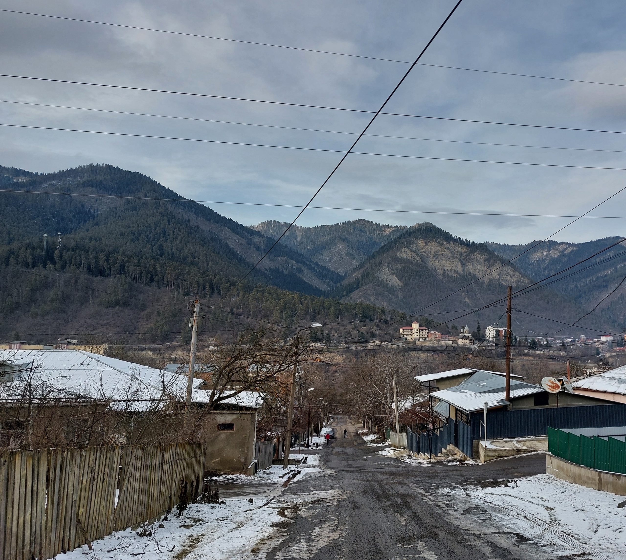 ბორჯომის ქალაქი და ტყიანი ფერდობები პაპას უბნიდან