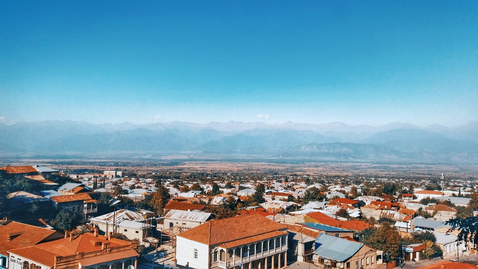 თელავის ქალაქის პანორამა დღისით